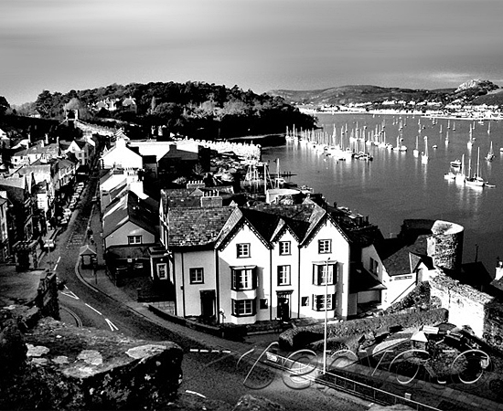 无弹窗骚扰的免费ddos攻击网页端